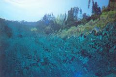 grse08.jpg (7103 Byte)