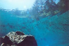 grse10.jpg (7307 Byte)