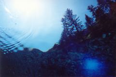 grse11.jpg (6388 Byte)