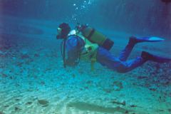 grse13.jpg (7335 Byte)