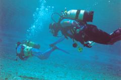 grse14.jpg (6388 Byte)