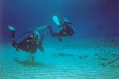 grse15.jpg (5918 Byte)