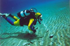 grse16.jpg (9100 Byte)