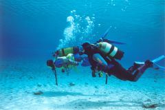 grse17.jpg (7926 Byte)