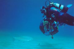 grse18.jpg (4808 Byte)