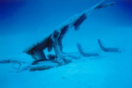 h2bugs.jpg (11200 Byte)