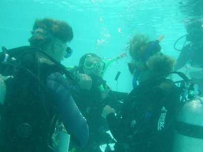 idc05.jpg (10404 Byte)