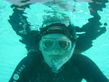 idc07.jpg (12481 Byte)