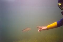 lisa01.jpg (3380 Byte)