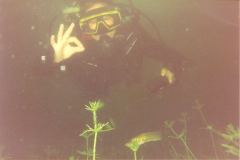 lisa07.jpg (4564 Byte)