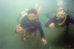 lisa08.jpg (5255 Byte)