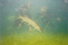 lisa09.jpg (4255 Byte)