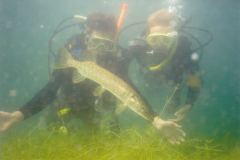 lisa10.jpg (5564 Byte)