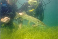 lisa11.jpg (6865 Byte)