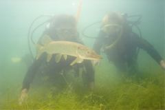 lisa12.jpg (4470 Byte)