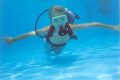 pool06.jpg (6175 Byte)