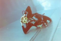 pool08.jpg (5160 Byte)