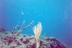 rab01.jpg (7342 Byte)