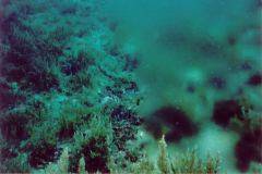 rab09.jpg (8159 Byte)