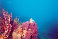 rab10.jpg (7281 Byte)