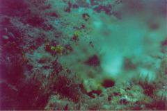 rab14.jpg (7323 Byte)