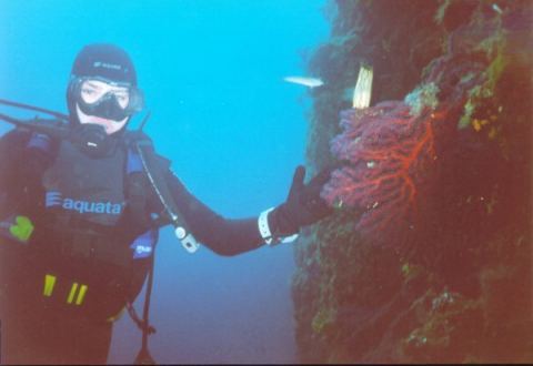 rab15b.jpg (36334 Byte)