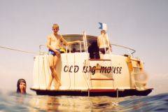 rab21.jpg (7484 Byte)