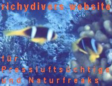 richydiver website