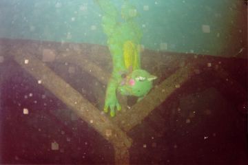 skg01.jpg (10532 Byte)