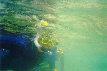 u&d02f09k.jpg (13250 Byte)